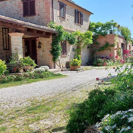 Casale San Martino Agriturismo Bio Sant'Angelo in Pontano Exterior foto