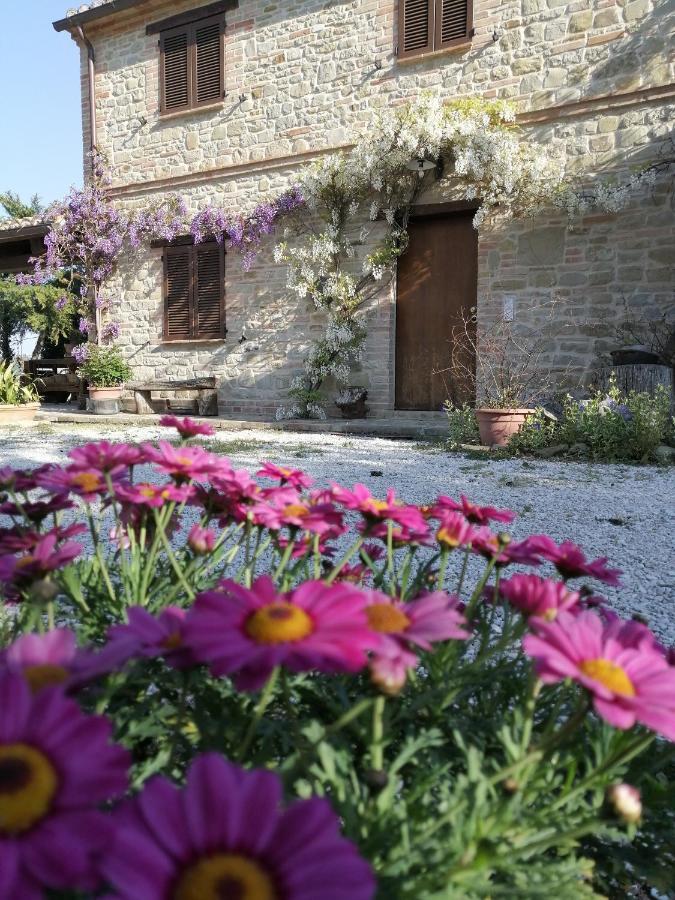 Casale San Martino Agriturismo Bio Sant'Angelo in Pontano Exterior foto
