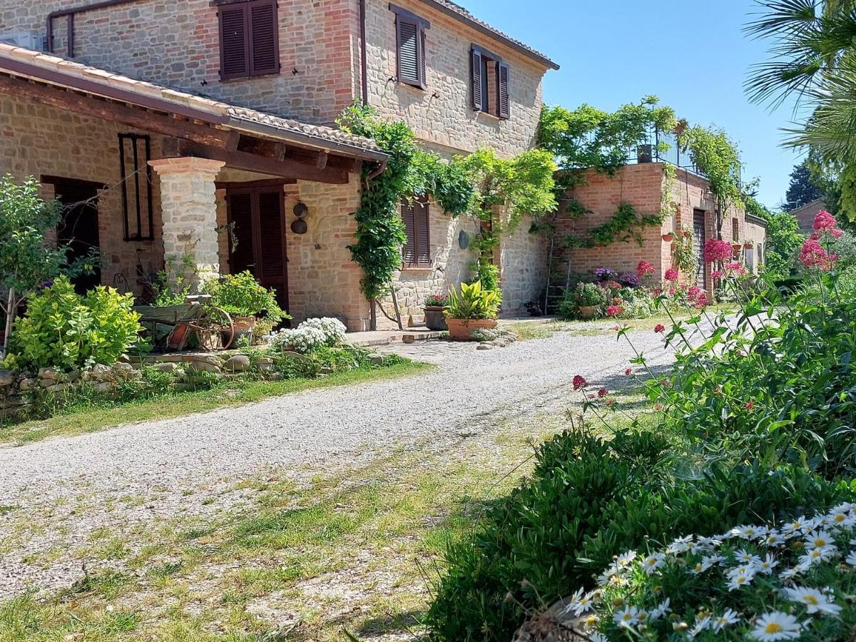 Casale San Martino Agriturismo Bio Sant'Angelo in Pontano Exterior foto