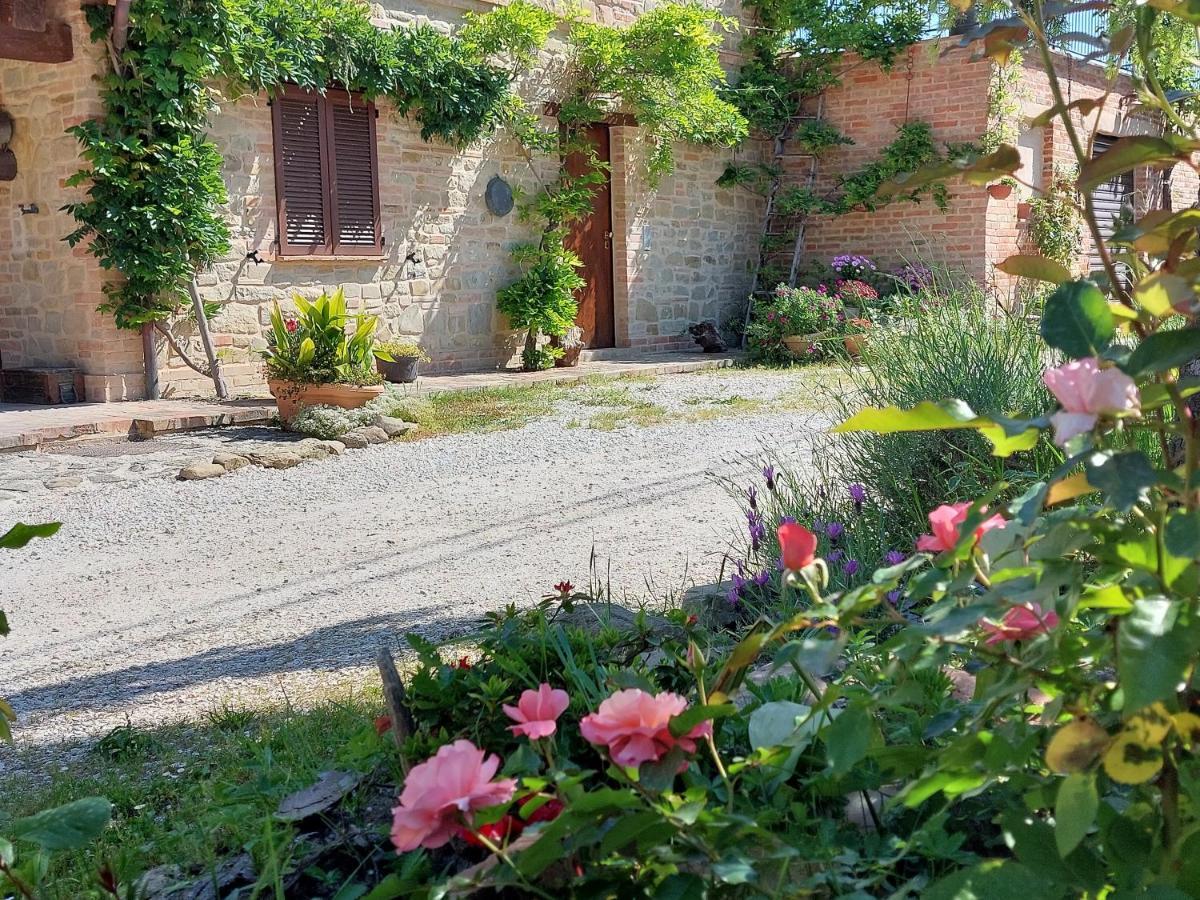 Casale San Martino Agriturismo Bio Sant'Angelo in Pontano Exterior foto