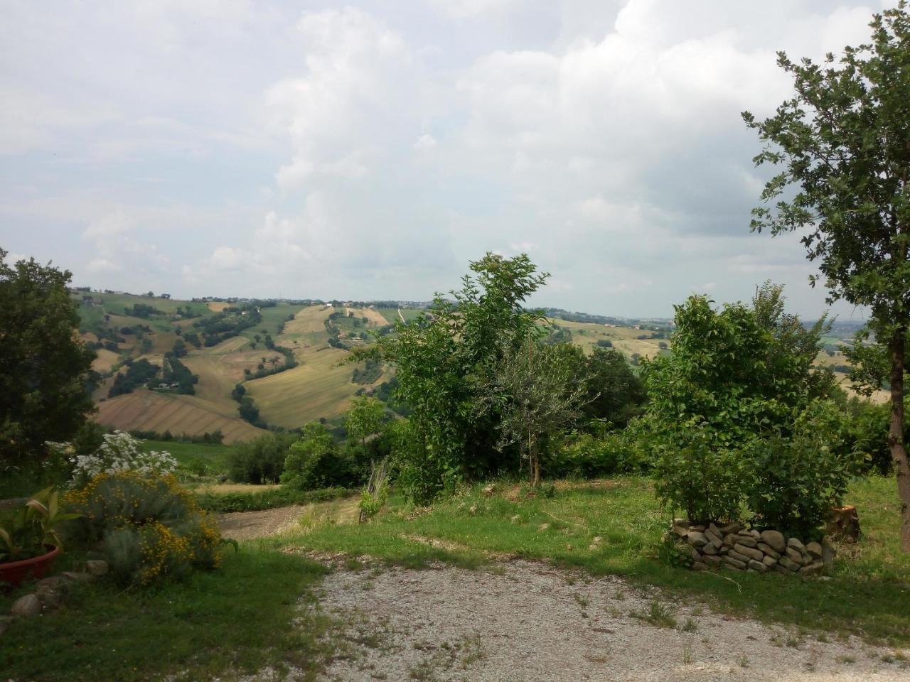Casale San Martino Agriturismo Bio Sant'Angelo in Pontano Exterior foto
